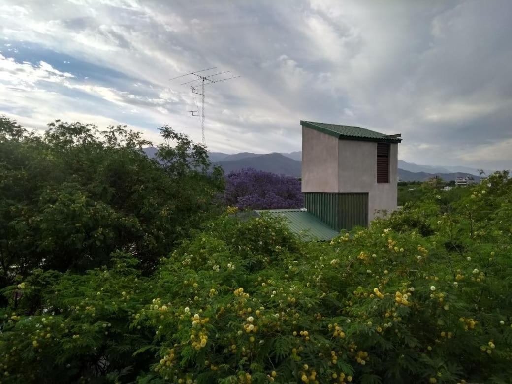メンドーサCentrico Parque Civicoアパートメント エクステリア 写真